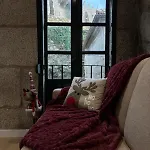 Lejlighed Apartamentos-loft A Muralla Tui